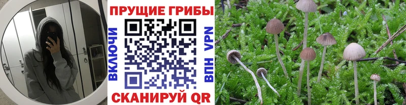 Галлюциногенные грибы ЛСД  Талдом 